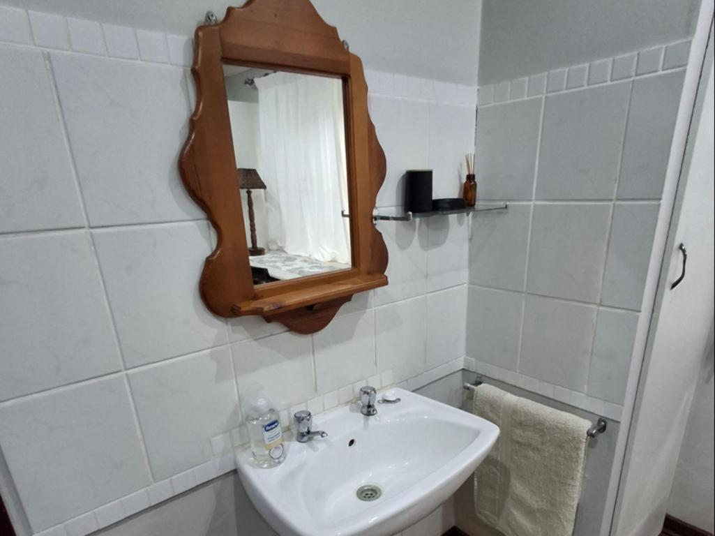 Tree Aloe Guest House Mokopane Rom bilde