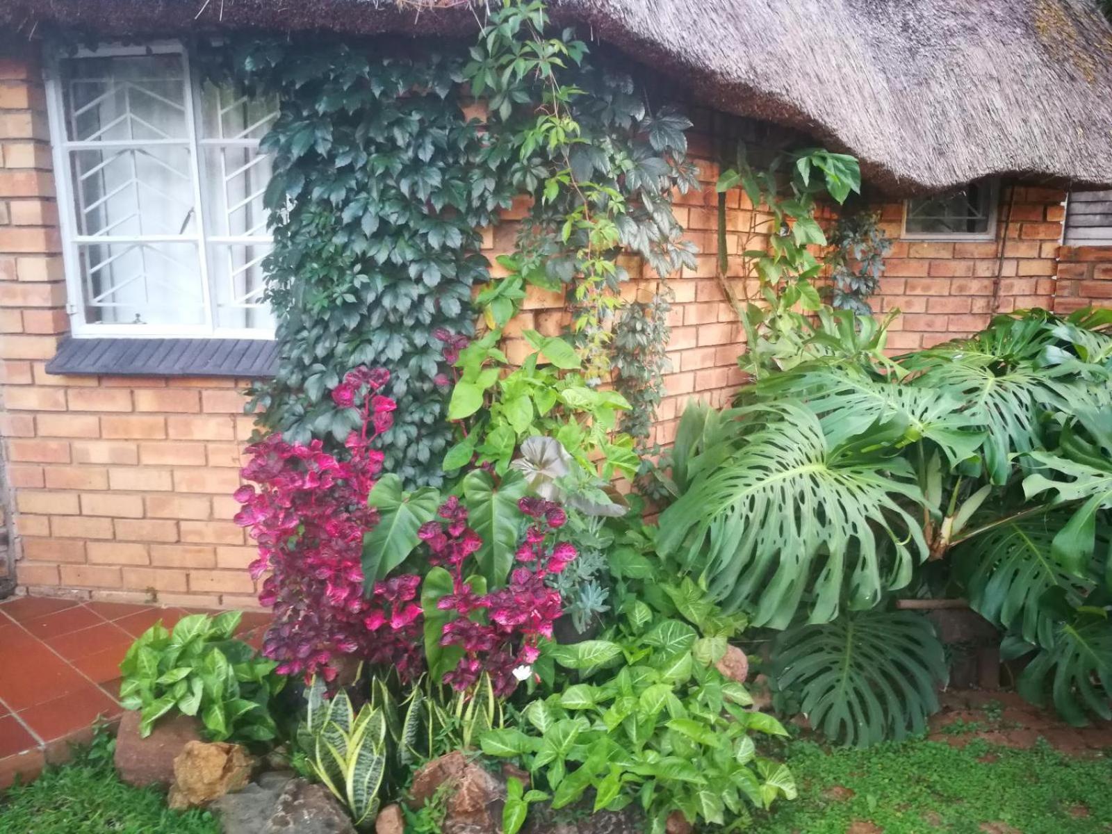 Tree Aloe Guest House Mokopane Rom bilde