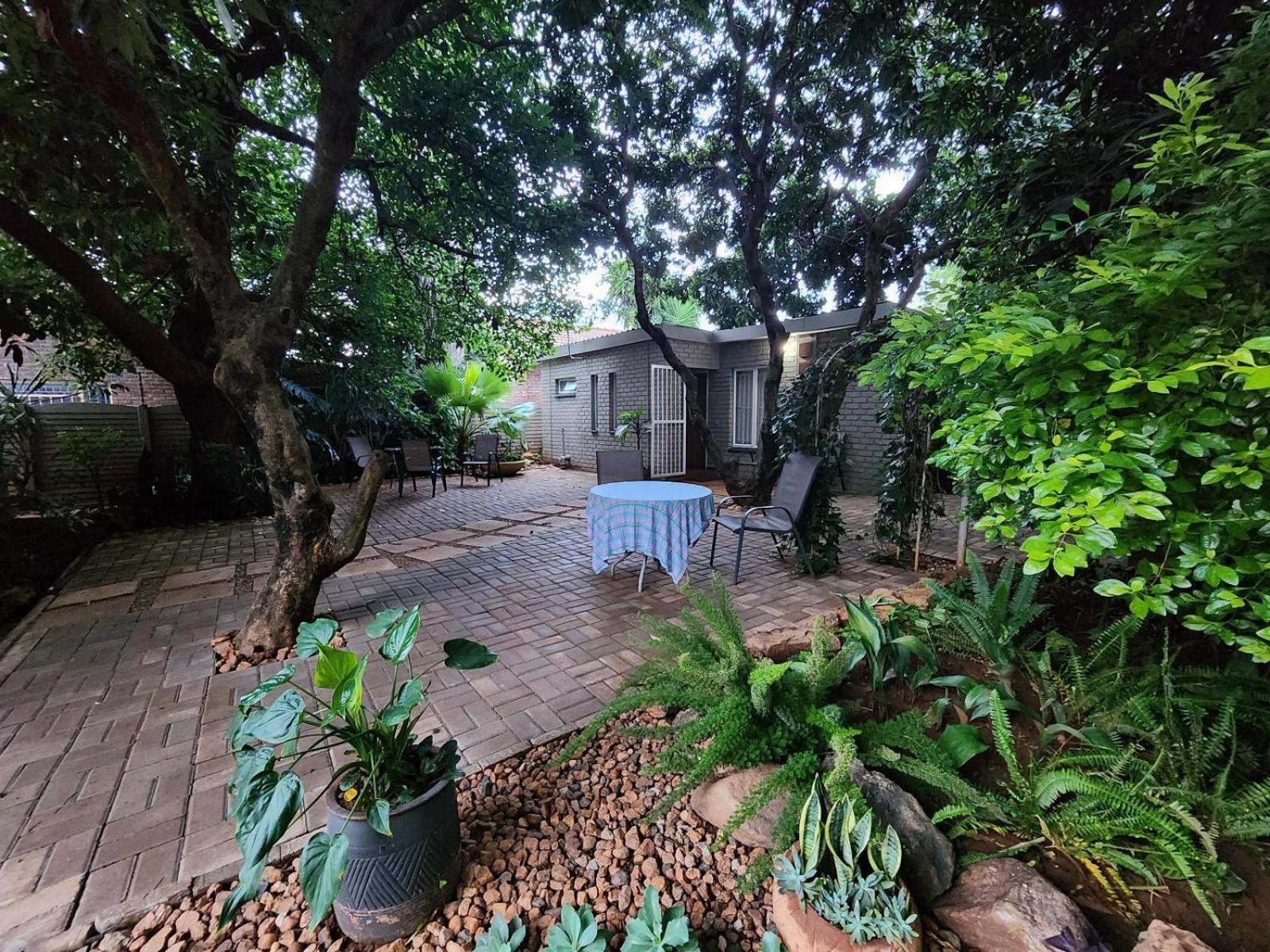 Tree Aloe Guest House Mokopane Rom bilde